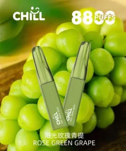 CHILL 一次性拋棄式電子煙 · 8800口